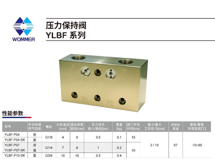 压力保持阀YLBF (2).png